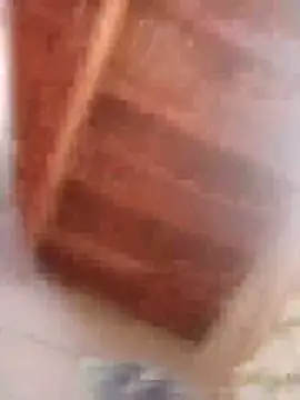 HOT-MUNDA online show from 02-09-26, 09:02