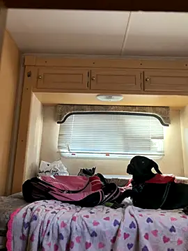 Snapshot of high3ndlowlife chatting on 11-20-25, 04:40 high3ndlowlife online show from 11-20-25, 04:40