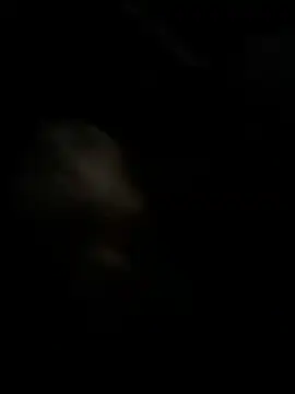 Snapshot of high3ndlowlife chatting on 11-27-25, 02:13 high3ndlowlife online show from 11-27-25, 02:13