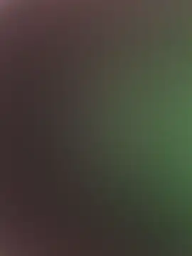 Snapshot of high3ndlowlife chatting on 02-17-26, 07:31 high3ndlowlife online show from 02-17-26, 07:31