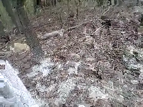 Snapshot of fischnet chatting on 09-20-25, 10:55 fischnet online show from 09-20-25, 10:55