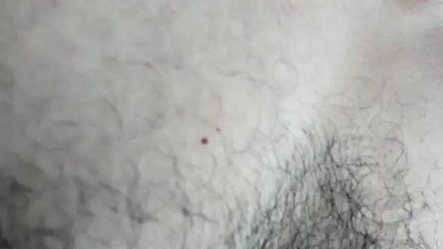 latinhotmuscle online show from 10-31-25, 03:18