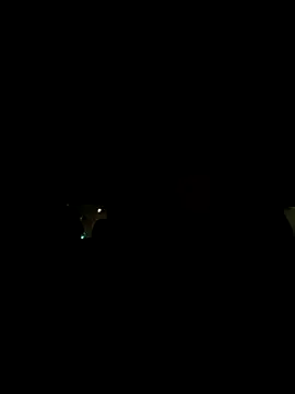 XanderOzzz online show from 11-03-25, 08:37