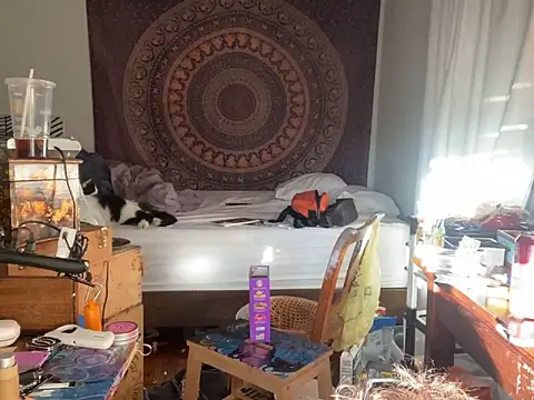 XanderOzzz online show from 11-06-25, 09:48