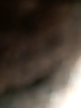 Snapshot of Hat-Raja77 chatting on 11-04-25, 04:33 Hat-Raja77 online show from 11-04-25, 04:33