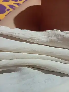 NoHA 66 online show from 11-02-25, 06:27