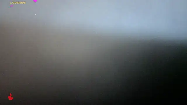 Alexander ferre online show from 02-25-26, 01:32