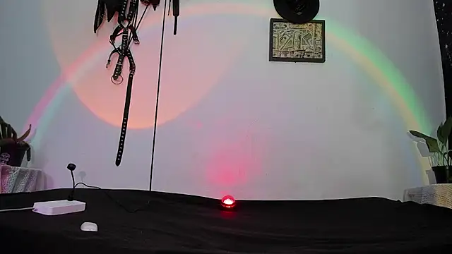 Snapshot of dex_55 chatting on 05-12-26, 10:29 dex 55 online show from 05-12-26, 10:29