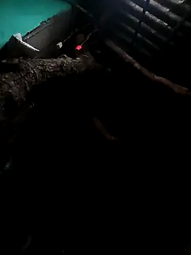 Suhana pandit online show from 09-29-25, 09:19