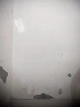 sassyy poonam online show from 10-11-25, 08:13