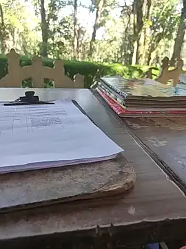 Snapshot of BasicGoal96 chatting on 11-05-25, 08:14 BasicGoal96 online show from 11-05-25, 08:14