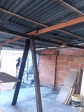 hoteder online show from 11-25-25, 11:54