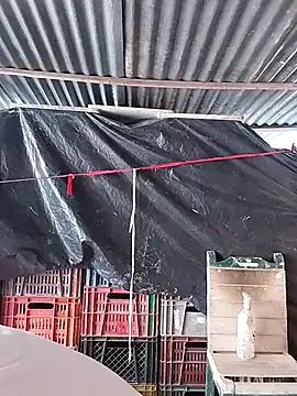 hoteder online show from 02-23-26, 02:47