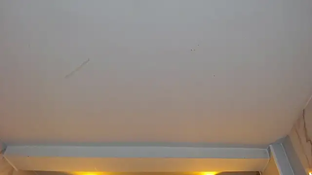 dania b  online show from 10-19-25, 03:07