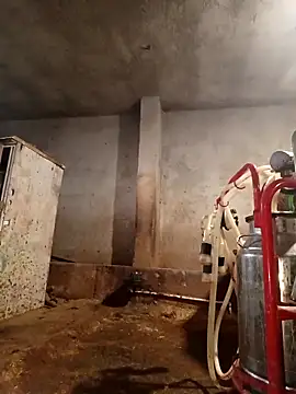 ezgi2545 online show from 02-22-26, 03:10