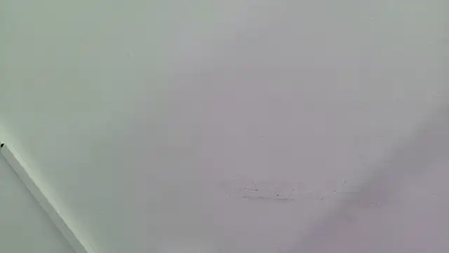 Lizbeth Rouse online show from 09-28-25, 12:54