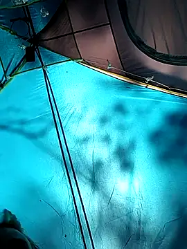 PainPriness online show from 09-29-25, 06:35