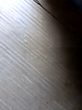 Snapshot of liza-212 chatting on 10-10-25, 09:41 liza-212 online show from 10-10-25, 09:41