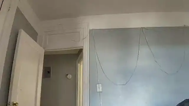 puddled wonderland online show from 10-24-25, 06:37