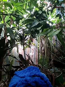 Snapshot of Kiki-vivi chatting on 09-16-25, 01:17 Kiki-vivi online show from 09-16-25, 01:17