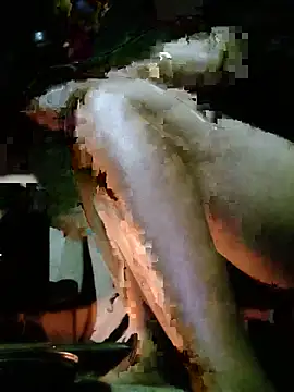 Snapshot of mo3mh chatting on 05-29-26, 12:03 mo3mh online show from 05-29-26, 12:03