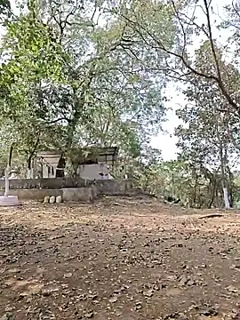 yung cplz online show from 02-07-26, 07:34