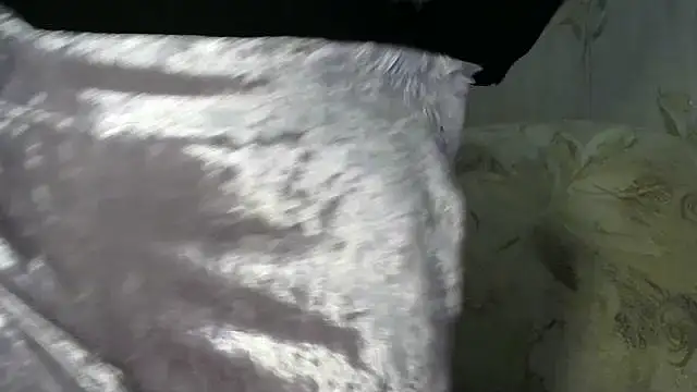 LedyNika online show from 03-16-26, 08:13