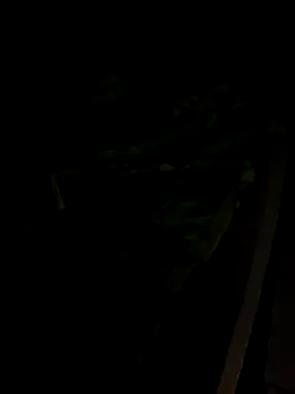 Snapshot of sr_dias chatting on 11-13-25, 08:46 sr dias online show from 11-13-25, 08:46