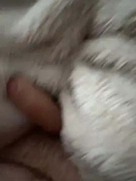 cumshot foryou online show from 03-07-26, 04:04