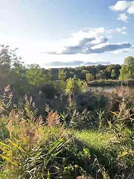 FavoriteKira online show from 09-20-25, 02:07