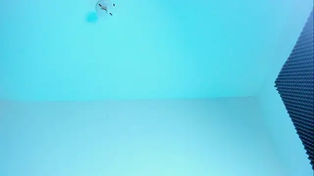 Im naho online show from 10-21-25, 11:16