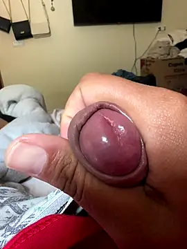 Ksc1802 online show from 11-12-25, 04:51