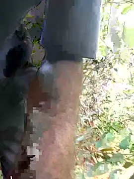 kavi1q1 online show from 01-17-26, 04:39