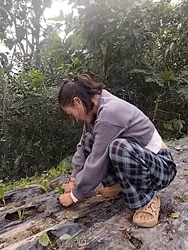 linda bae00 online show from 11-15-25, 01:58