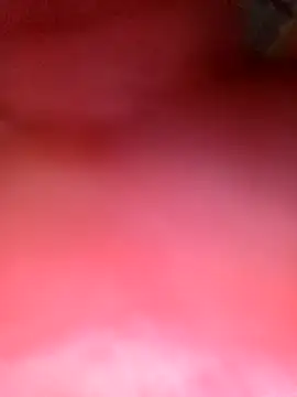 Snapshot of phunphun chatting on 11-24-25, 11:26 phunphun online show from 11-24-25, 11:26