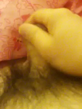 Hl1979 online show from 02-27-26, 09:04