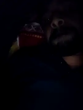 Snapshot of Sexyhotboy7inch chatting on 11-21-25, 08:29 Sexyhotboy7inch online show from 11-21-25, 08:29