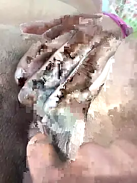 Snapshot of ache45 chatting on 11-07-25, 09:15 ache45 online show from 11-07-25, 09:15