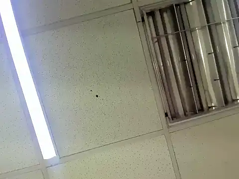 Snapshot of Aisha_hotts777 chatting on 02-14-26, 03:47 Aisha hotts777 online show from 02-14-26, 03:47