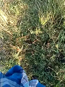 dolphiinn online show from 04-19-26, 01:49