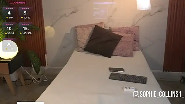 SophieCollins 1 online show from 04-12-26, 01:05