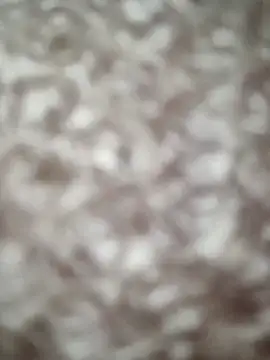 Snapshot of Markroco696 chatting on 09-14-25, 10:03 Markroco696 online show from 09-14-25, 10:03