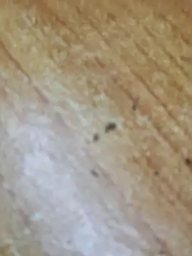 Snapshot of Markroco696 chatting on 10-06-25, 03:09 Markroco696 online show from 10-06-25, 03:09