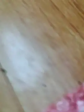 Snapshot of Markroco696 chatting on 10-18-25, 02:58 Markroco696 online show from 10-18-25, 02:58