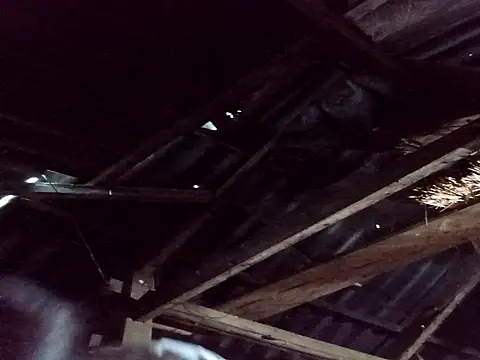  Helala  online show from 10-25-25, 11:21