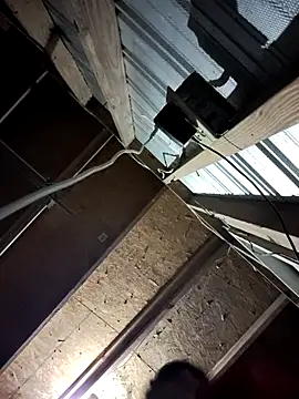 Snapshot of bigb499 chatting on 11-18-25, 04:50 bigb499 online show from 11-18-25, 04:50