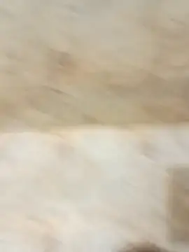 king godgm online show from 12-20-25, 01:34