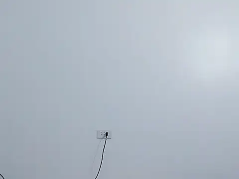 Siglemom sexy online show from 04-01-26, 07:55