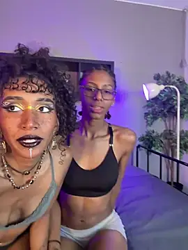 lynx sun online show from 02-04-26, 09:42