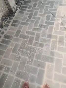 PunjabiSardarBull online show from 11-20-25, 04:34